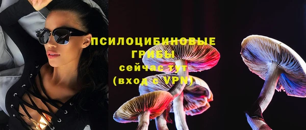 сатива Алексин