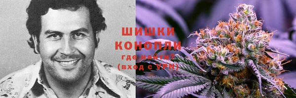 каннабис Алзамай